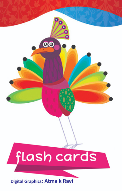 FLASH CARDS
