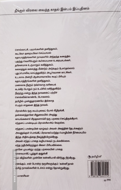 கன்னி (நாவல்)