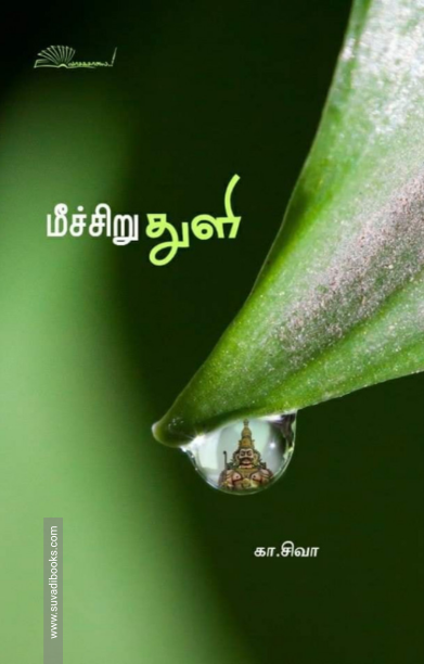மீச்சிறு துளி