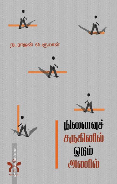 நினைவுச் சருகினில் ஓடும் அணில்