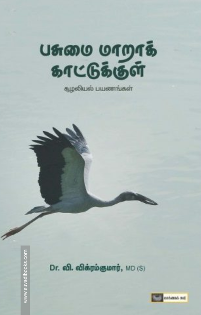 பசுமை மாறாக் காட்டுக்குள்