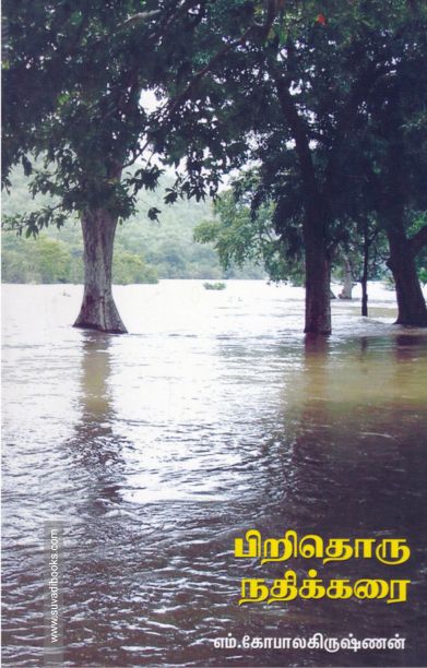 பிறிதொரு நதிக்கரை