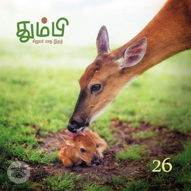 தும்பி 26