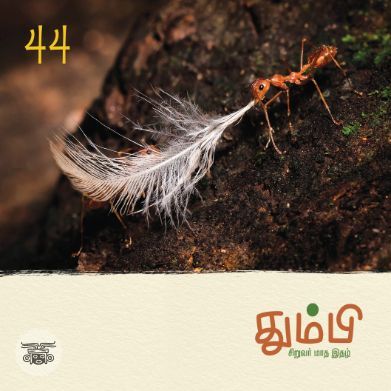 தும்பி 44