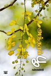 அந்தரப் பூ