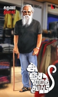 அஞ்சிறைத்தும்பி