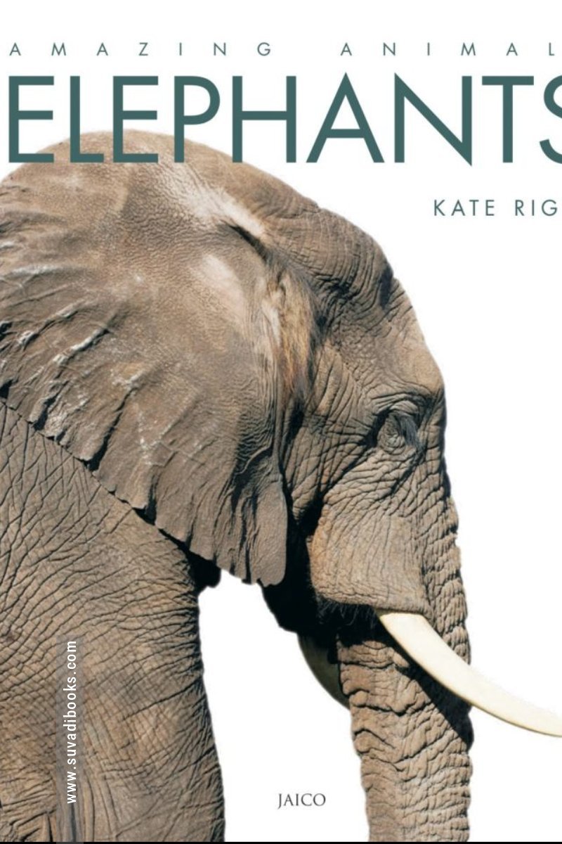 Elephants