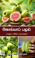 கொய்யாப்பழம்