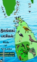 இலங்கைப் பட்சிகள்