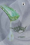 கற்றாழை (சிறுகதைகள்)