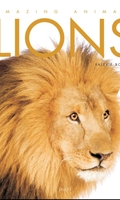 Lions: Amazing Animals Series
