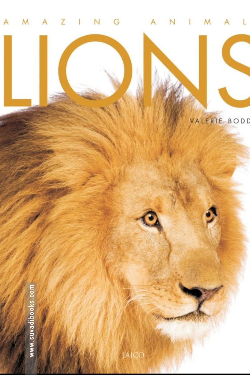 Lions: Amazing Animals Series