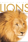 Lions: Amazing Animals Series