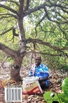 மணக்கொல்லை (தமிழினி)