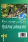 மரங்கொத்திகள்