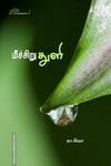 மீச்சிறு துளி