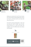 Monkeys: Amazing Animals Series