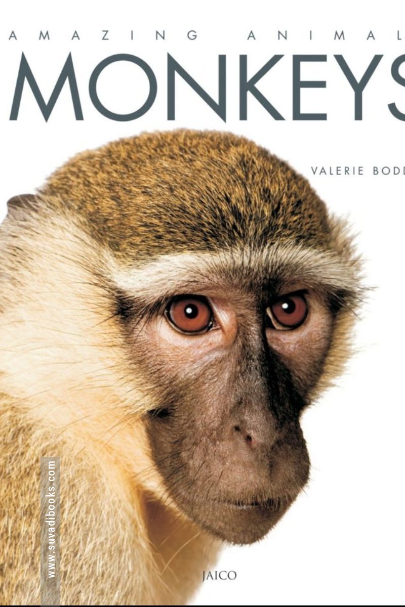 Monkeys: Amazing Animals Series