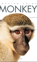 Monkeys: Amazing Animals Series