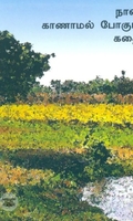நான் கொலை செய்யும் பெண்கள்