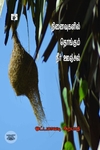 நினைவுகளில் தொங்கும் நீர் ஊஞ்சல்