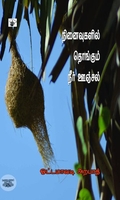 நினைவுகளில் தொங்கும் நீர் ஊஞ்சல்