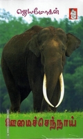 ஊமைச்செந்நாய்