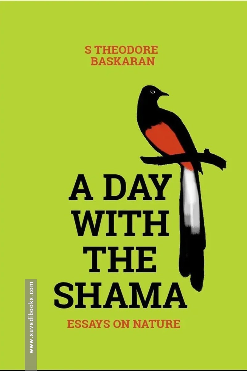 A Day With The Shama