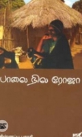 பாலை நில ரோஜா