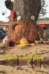 பண்பாட்டு அசைவுகள் (விலையடக்க பதிப்பு)