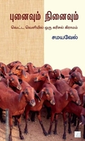 புனைவும் நினைவும்