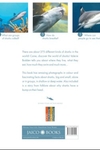 Sharks: Amazing Animals Series