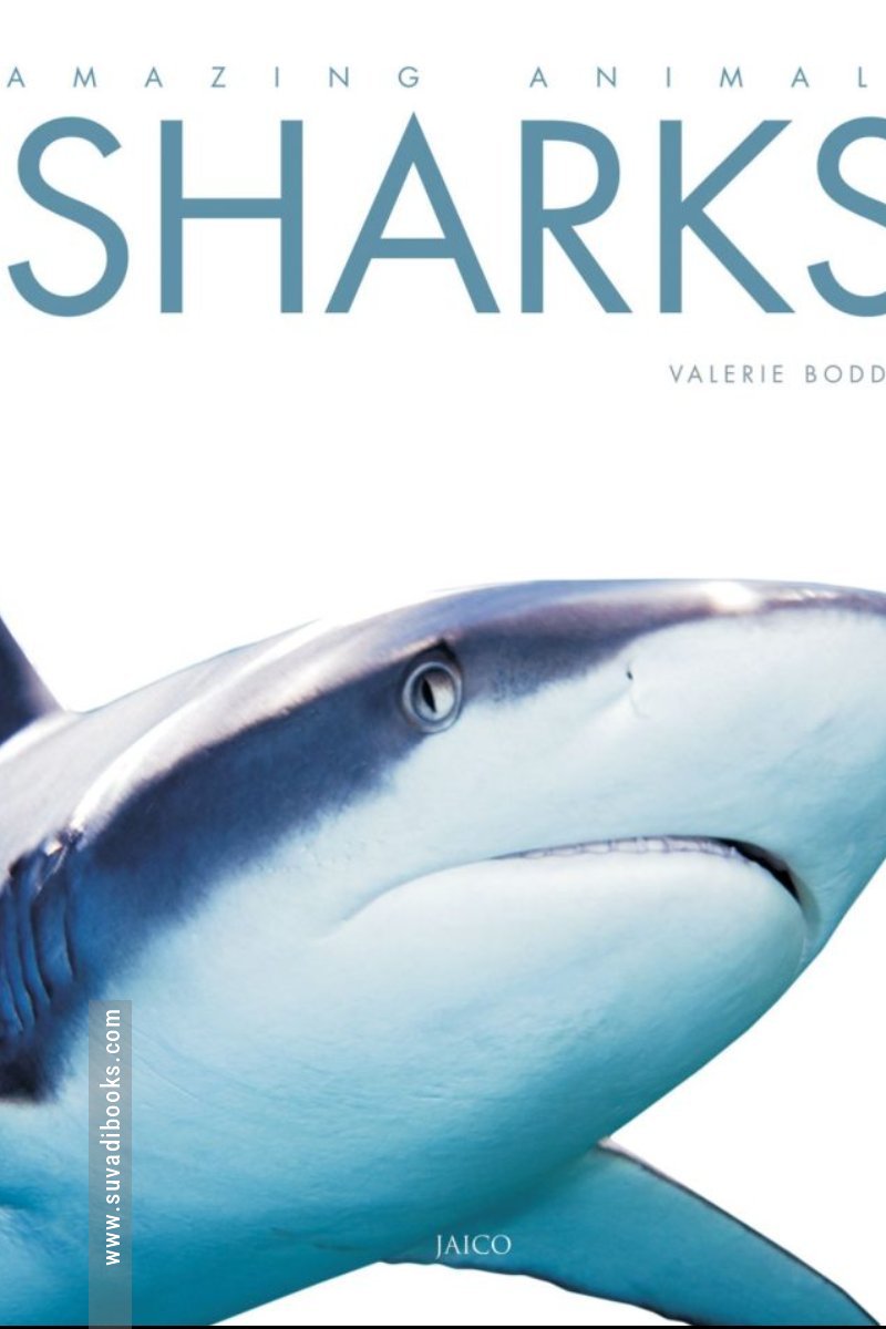 Sharks: Amazing Animals Series
