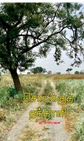 சொடக்குத் தக்காளி