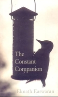 The Constant Companion