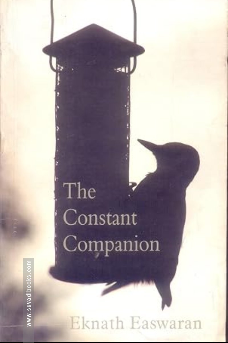 The Constant Companion
