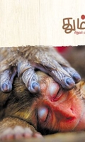 தும்பி 25
