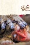 தும்பி 25