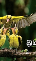 தும்பி 32