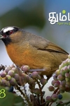 தும்பி 38