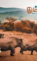 தும்பி 53