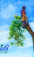 தும்பி 55