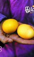 தும்பி 58
