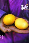 தும்பி 58