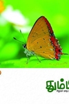 தும்பி 6