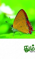 தும்பி 6