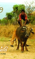 தும்பி 9