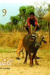 தும்பி 9