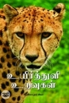 உயிர்த்துளி உறவுகள்