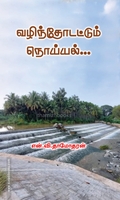 வழிந்தோடட்டும் நொய்யல்...